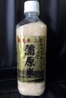 蒲原米こしひかり（無洗米）三合
