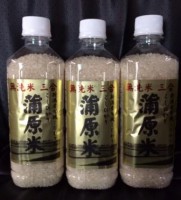 蒲原米こしひかり（無洗米）３合３セット